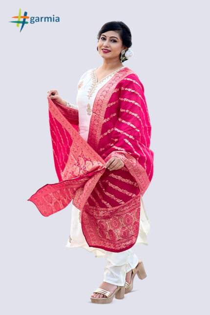 Roman Silk Salwar Kameez Suit – SK0111